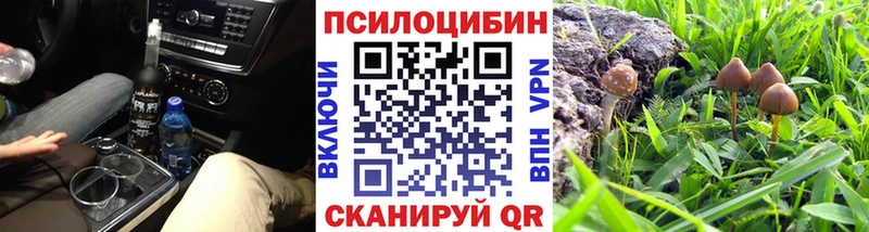 дарк нет наркотические препараты  Новосибирск  Псилоцибиновые грибы Psilocybine cubensis 