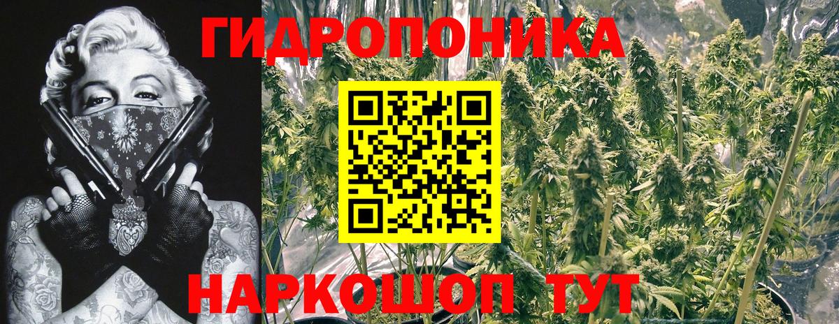 Конопля MAZAR Новосибирск
